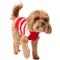 Show in main carousel: Frisco String Christmas Lights Dog & Cat Christmas Sweater, 1 count, Small slide 3 of 9