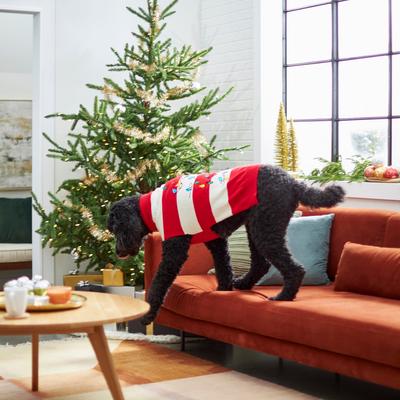 Show full view: Frisco String Christmas Lights Dog & Cat Christmas Sweater, 1 count, X-Large slide 5 of 8