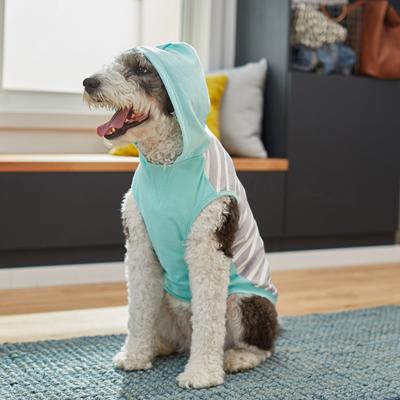 Show full view: Frisco Striped Colorblock Dog & Cat Hoodie, Teal, Large slide 7 of 8