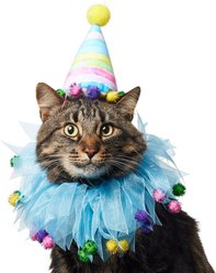 Frisco Striped Party Hat & Ruffle Collar Cat Birthday Accessory, One Size