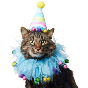 Frisco Striped Party Hat & Ruffle Collar Cat Birthday Costume, One Size