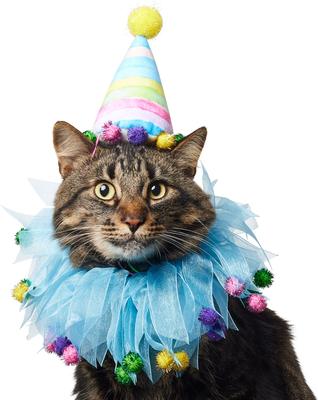 Out of Stock FRISCO Striped Party Hat Ruffle Collar Cat