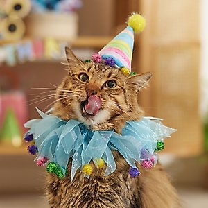 Frisco Striped Party Hat & Ruffle Collar Cat Birthday Costume, One Size