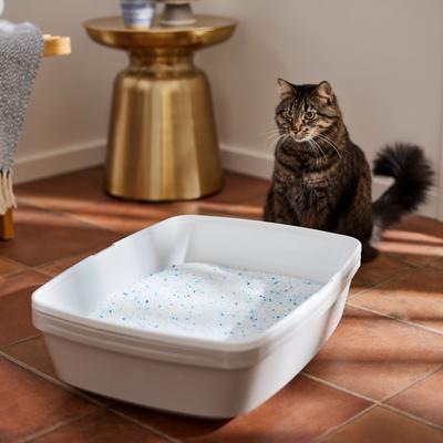Show full view: Frisco Summer Clean Scented Non-Clumping Crystal Cat Litter, 8-lb bag slide 5 of 9