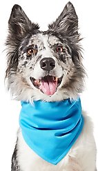 Frisco Summer Cooling Pullover Dog Gaitor, Blue, Medium/Large