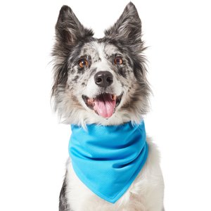 Frisco Summer Cooling Pullover Dog Gaitor, Blue, Medium/Large