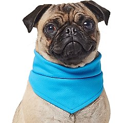 Frisco Summer Cooling Pullover Dog Gaitor, Blue, X-Small/Small