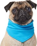 Summer Cooling Pullover Dog Gaitor, Blue, X-Small/Small