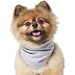 Frisco Summer Cooling Pullover Dog Gaitor, Gray, X-Small/Small