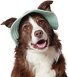 Frisco Summer UPF 45 Cooling Dog & Cat Bucket Hat, Light Green, X-Large/XX-Large slide 1 of 7