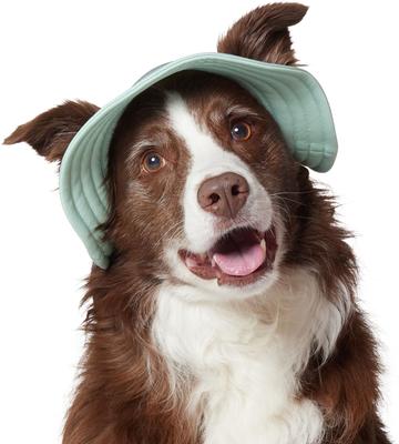 Frisco UPF 45 Cooling Dog & Cat Bucket Hat
