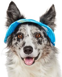 Frisco UPF 45 Cooling River Watercolor Dog & Cat Bucket Hat, Medium/Large