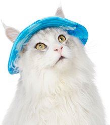 Frisco UPF 45 Cooling River Watercolor Dog & Cat Bucket Hat, X-Small/Small