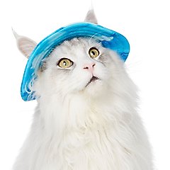 Frisco UPF 45 Cooling River Watercolor Dog & Cat Bucket Hat, X-Small/Small
