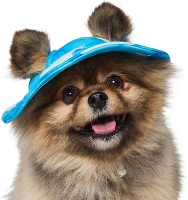 Show full view: Frisco UPF 45 Cooling River Watercolor Dog & Cat Bucket Hat, X-Small/Small slide 3 of 9