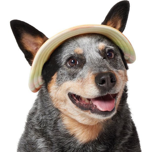 Frisco UPF 45 Cooling River Watercolor Dog & Cat Bucket Hat