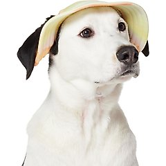 Frisco Summer UPF 45 Cooling Dog & Cat Bucket Hat, Watercolor Orange, X-Large/XX-Large