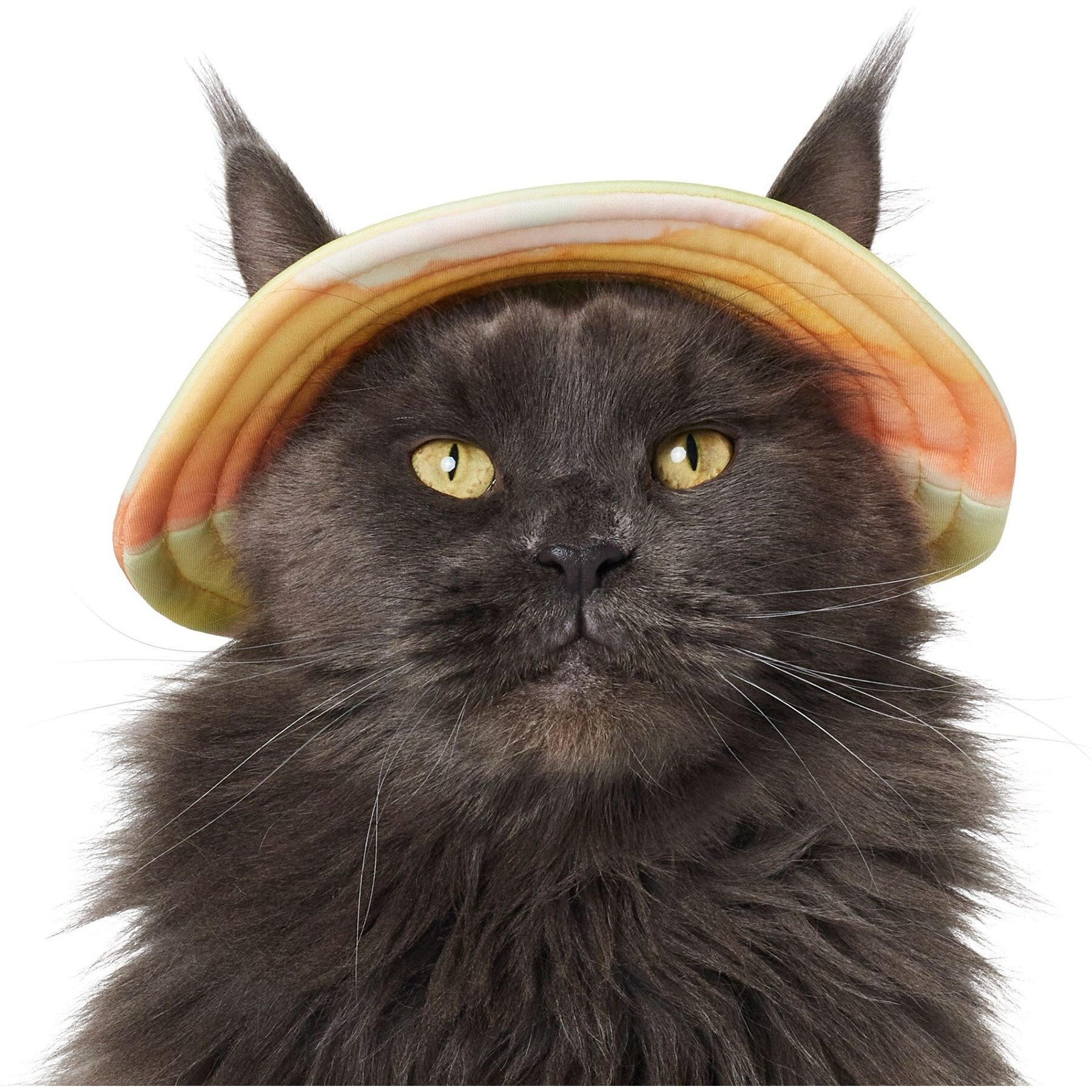 捨七　summer holiday PET Santa Hat with SnugFit® for Dogs & Cats - Huxley & Kent
