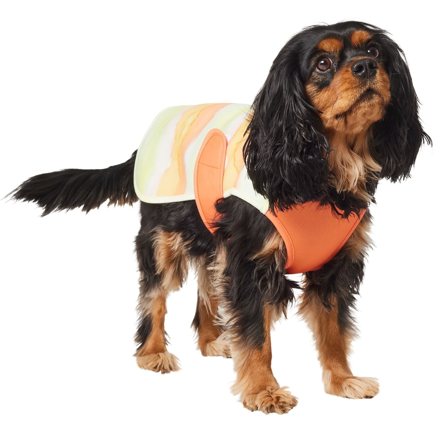 Frisco Hazy Sunrise UPF 45 Cooling Dog Vest, Medium