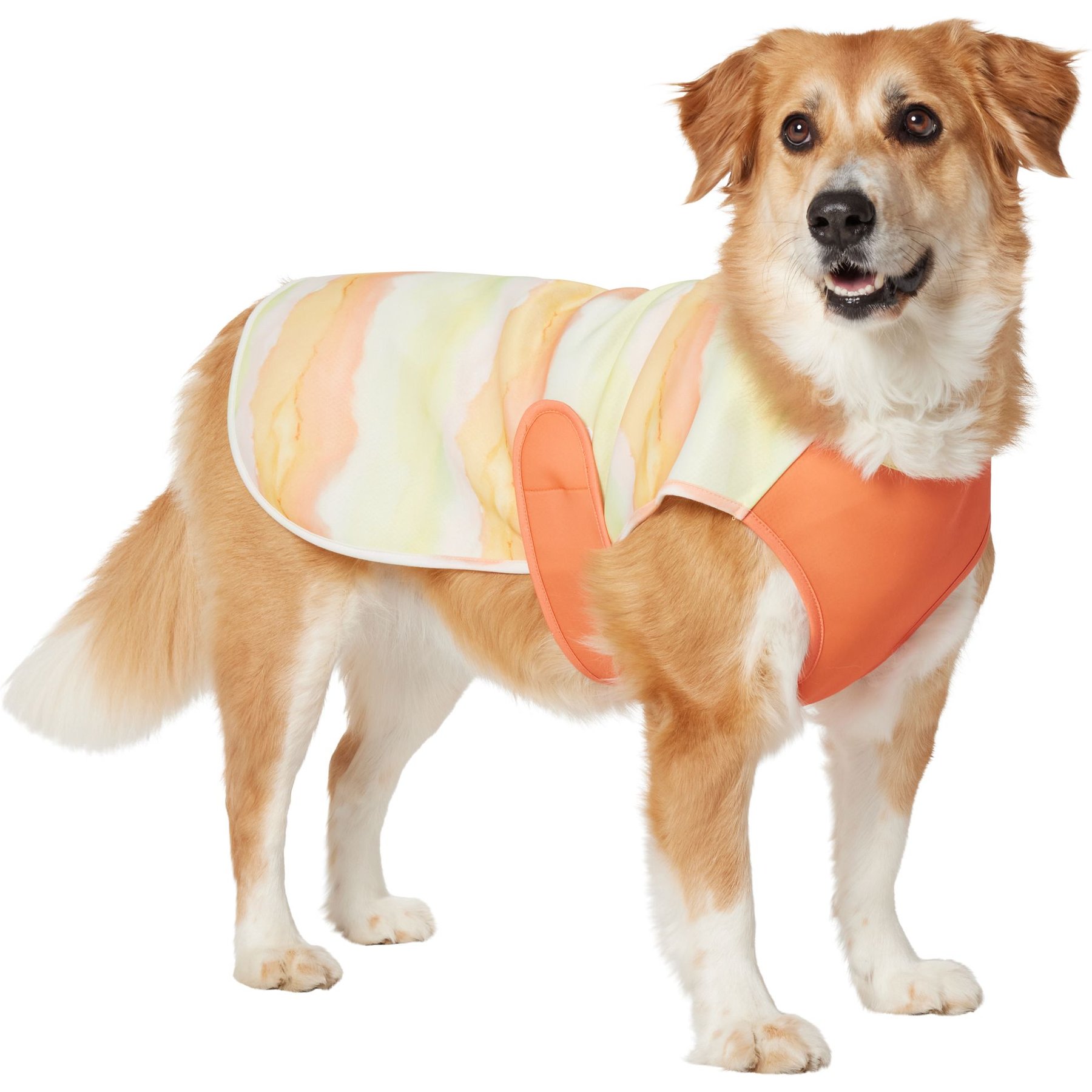Frisco Hazy Sunrise UPF 45 Cooling Dog Vest, X-Large