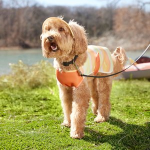 Frisco Hazy Sunrise UPF 45 Cooling Dog Vest, X-Large