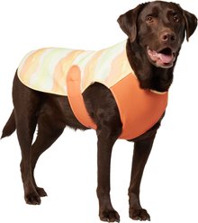 Frisco Hazy Sunrise UPF 45 Cooling Dog Vest, XX-Large