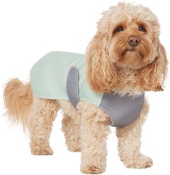 Frisco Summer UPF 45 Cooling Dog Vest, Mint Green, Medium