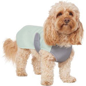 Frisco Summer UPF 45 Cooling Dog Vest, Mint Green, Medium