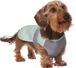 Frisco Summer UPF 45 Cooling Dog Vest, Mint Green, Small