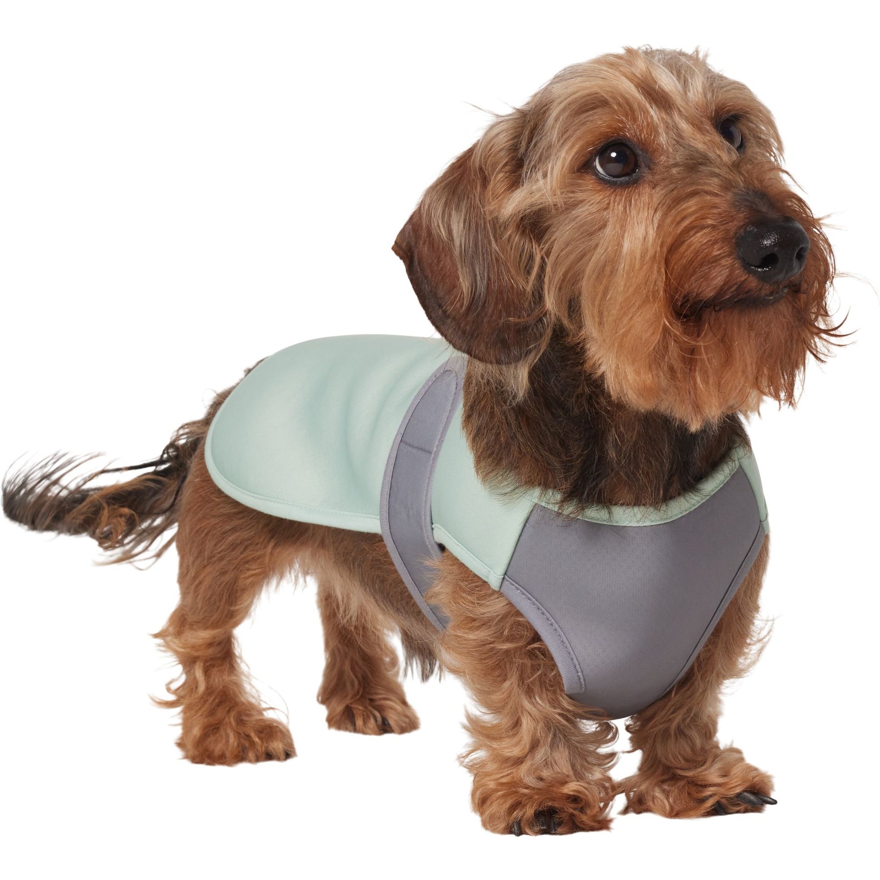 Frisco Summer UPF 45 Cooling Dog Vest, Mint Green, Small