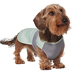 Frisco Summer UPF 45 Cooling Dog Vest, Mint Green, Small