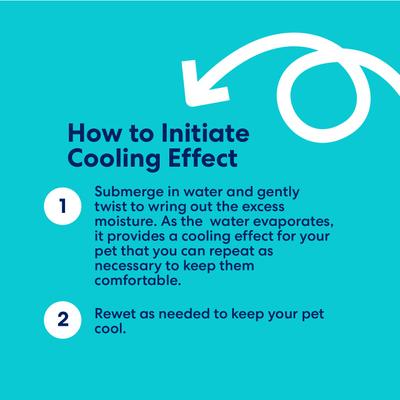 Show full view: Frisco Summer UPF 45 Cooling Dog Vest, Mint Green, Small slide 7 of 11