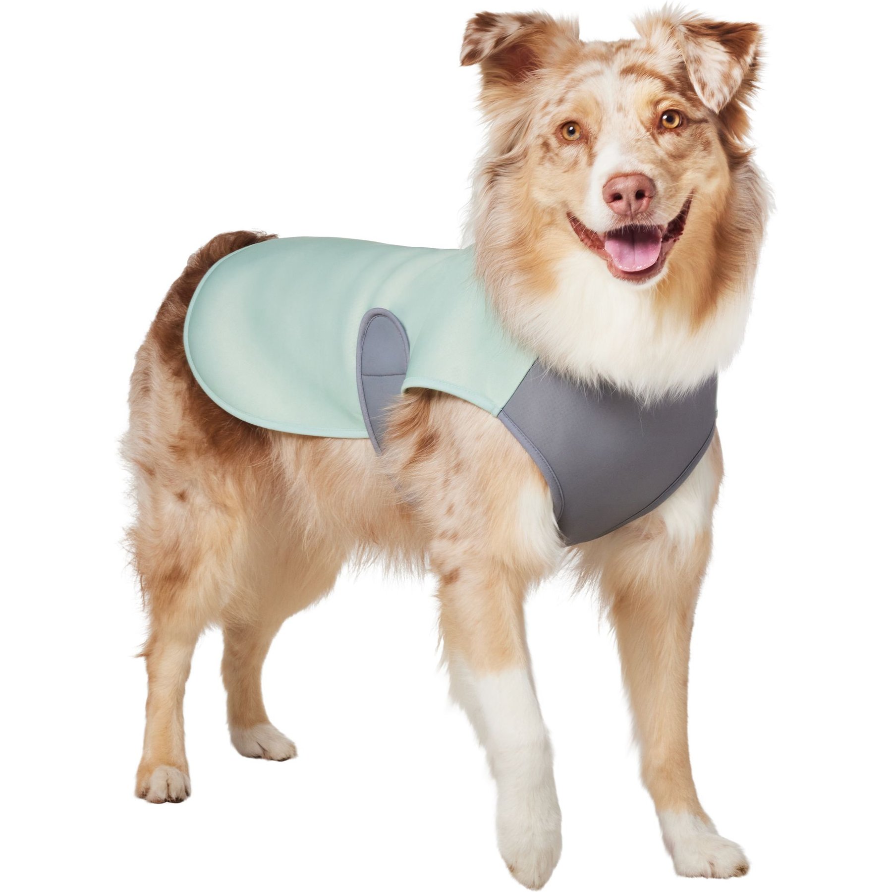 Frisco Summer UPF 45 Cooling Dog Vest, Mint Green, X-Large