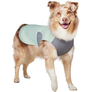 Frisco Summer UPF 45 Cooling Dog Vest, Mint Green, X-Large