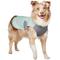 Show in main carousel: Frisco Summer UPF 45 Cooling Dog Vest, Mint Green, X-Large slide 1 of 11