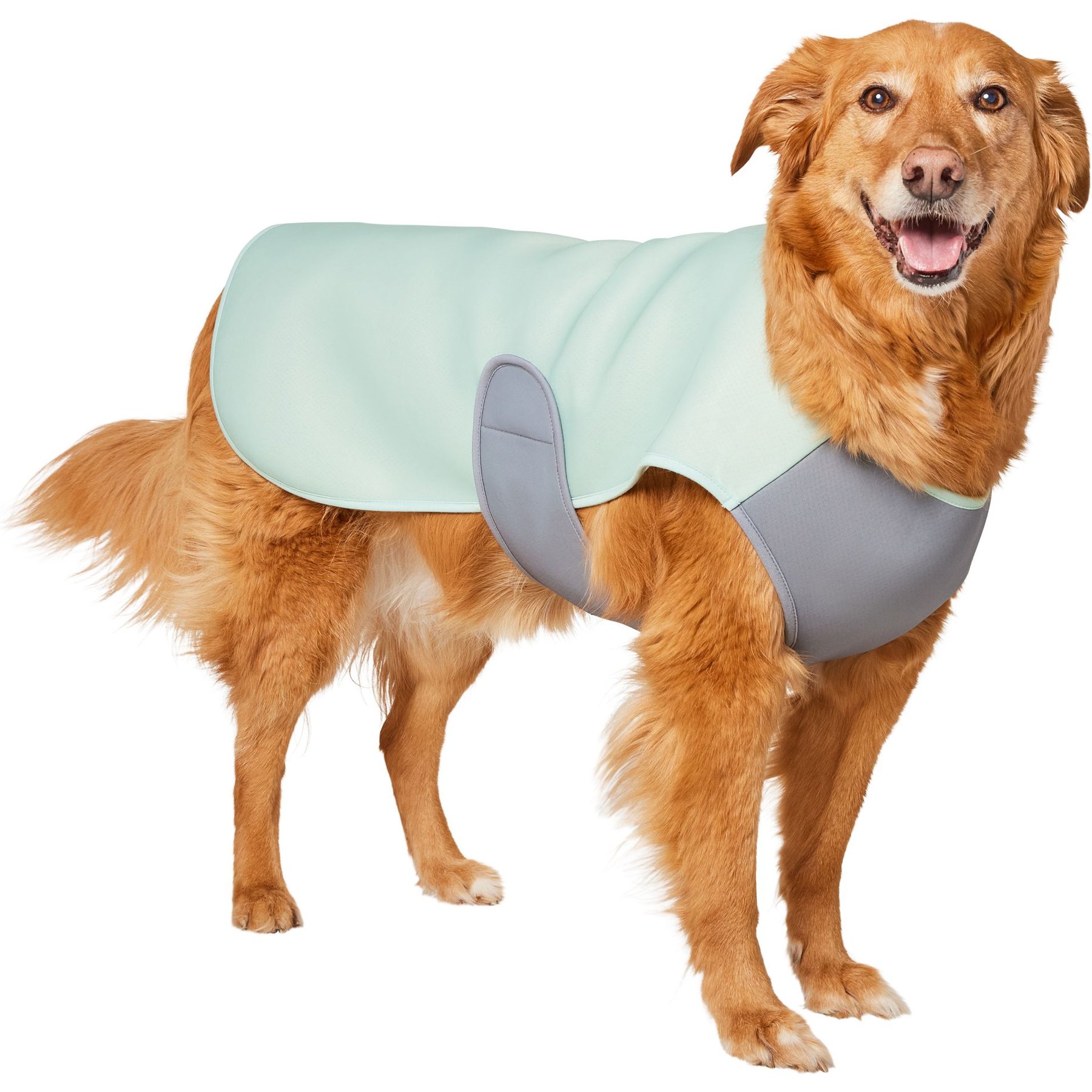 Frisco Summer UPF 45 Cooling Dog Vest, Mint Green, XX-Large