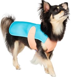 Frisco Summer UPF 45 Cooling Dog Vest, Teal, Small
