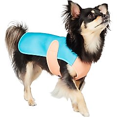 Frisco Summer UPF 45 Cooling Dog Vest, Teal, Small
