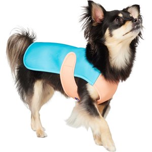 Frisco Summer UPF 45 Cooling Dog Vest, Teal, Small
