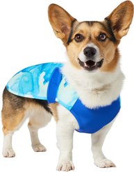 Frisco Watercolor UPF 45 Cooling Dog Vest, Medium