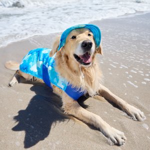 Frisco Watercolor UPF 45 Cooling Dog Vest, Small