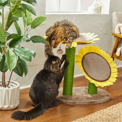 Frisco Frisco Sunflower Cat Scratching Post, Two Posts with Lounger