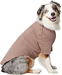 Frisco Sunkissed Dog & Cat T-Shirt, Brown, X-Large