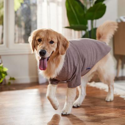 Show full view: Frisco Sunkissed Dog & Cat T-Shirt, Brown, X-Large slide 6 of 9