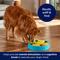 Show in main carousel: Frisco Sunshine Interactive Puzzle Dog Toy, Level 4 slide 6 of 10