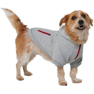 Frisco Sweatshirt Fleece Dog & Cat Hoodie with Sherpa Lining, Large slide 1 of 8