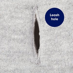 Frisco Sweatshirt Fleece Dog & Cat Hoodie with Sherpa Lining, Small