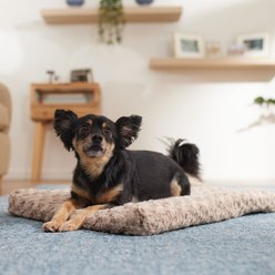 Frisco Swirl Dog Crate Mat, Mocha, 24"