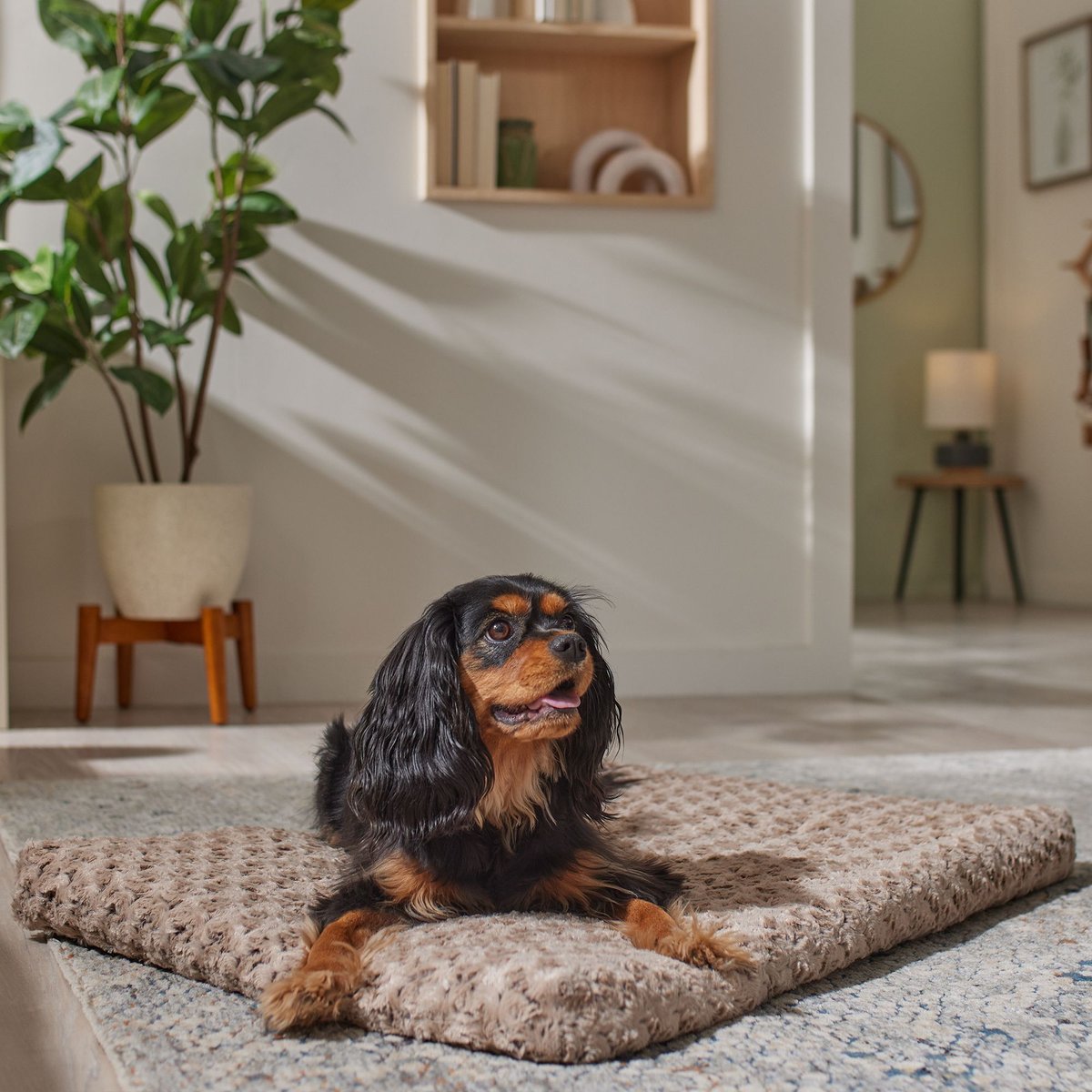Frisco Swirl Dog Crate Mat, Mocha, 36"