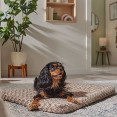 Frisco Swirl Dog Crate Mat, Mocha, 36"